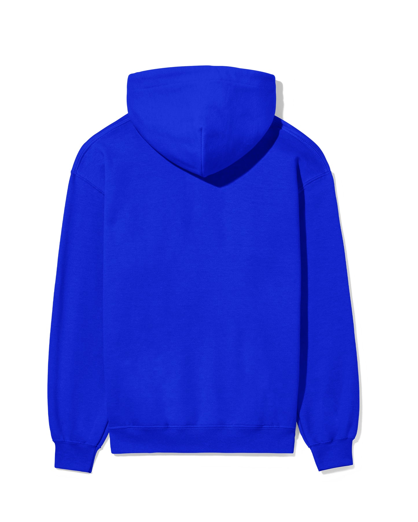 Logo Regular Hoodie