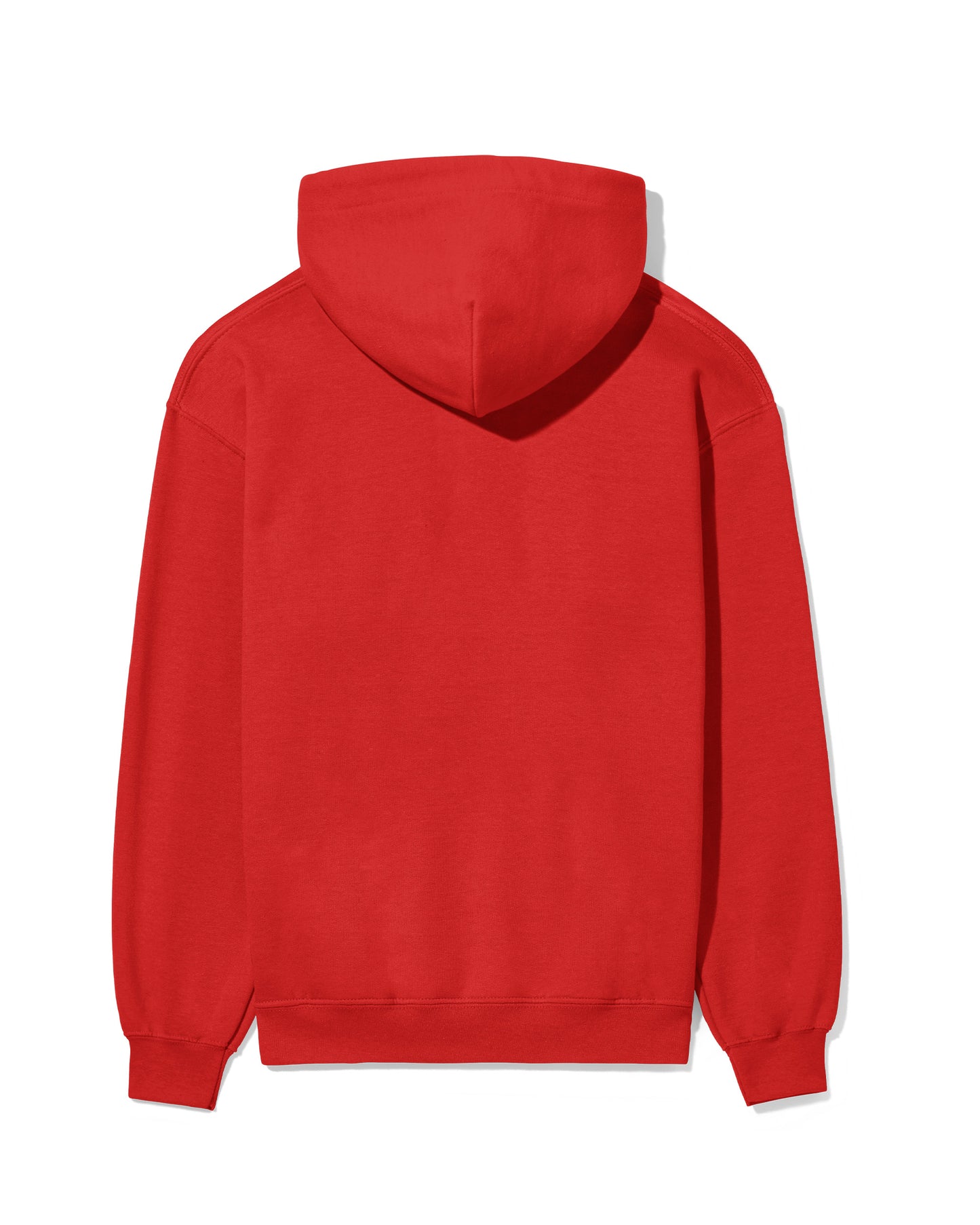 Logo Regular Hoodie