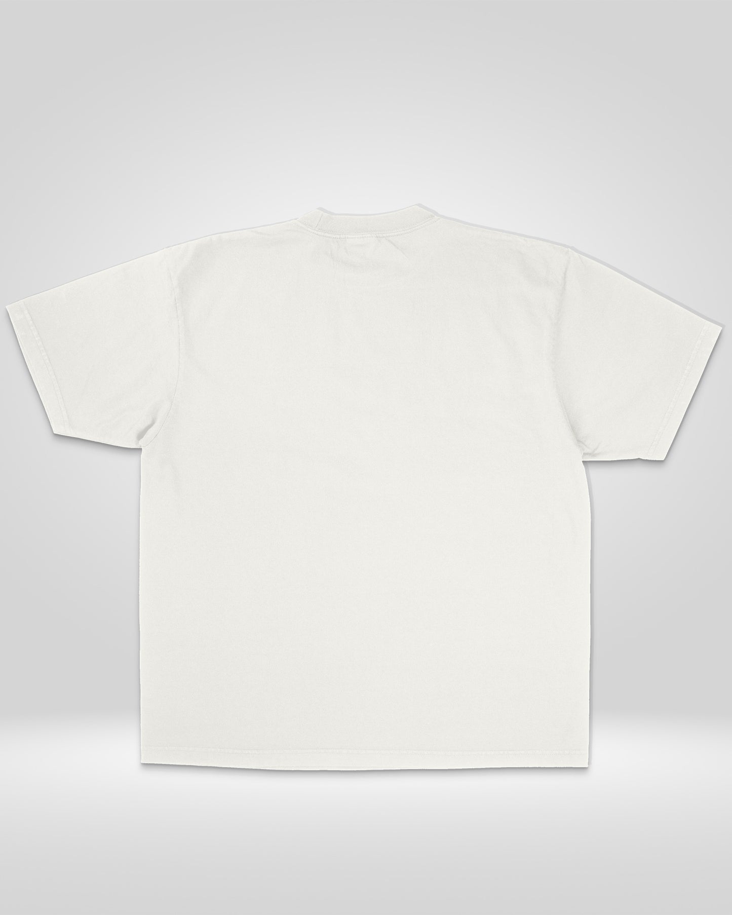 ALLEN IVERSON - BOOTLEG TEE