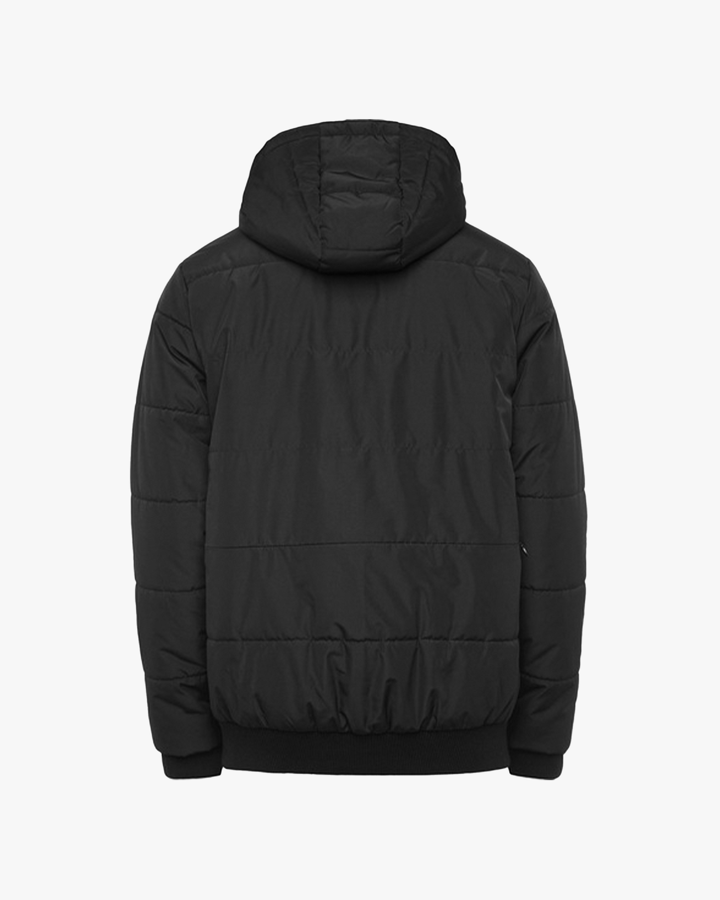 Winter District Jacket